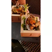 白石 愛莉