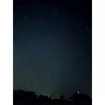 さやか