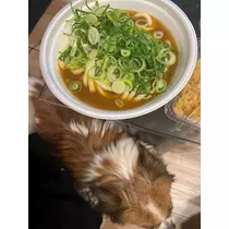 あいら