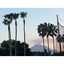 小川 真央