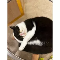 かんな