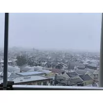 はつね