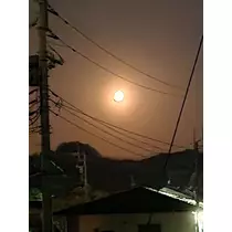 めぐ