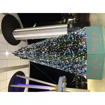 宝條 夏恋