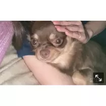 ありさ♡