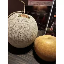 白石 愛莉