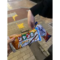 西園寺 ゆきみ