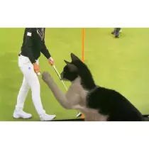 薫