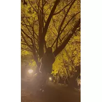 まいか