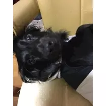 りえ