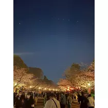みさ
