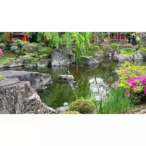 きこ