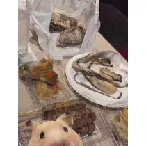 七星 夏純