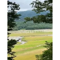 香川 ゆい
