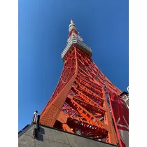 華宮 りりあ