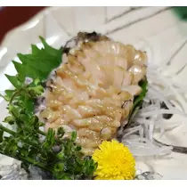 紫音