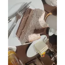 しおん