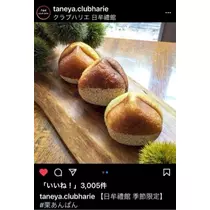 立華 碧