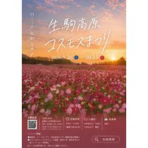 小川 未来