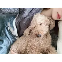 美波 あいか