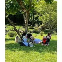 みこ