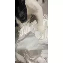 薫