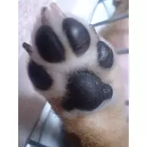 成海 まお