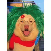 こう