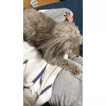 荒木 ナツミ