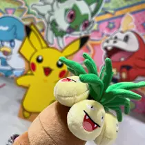 きちゃ。
