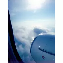 本城 椿