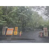 あおい