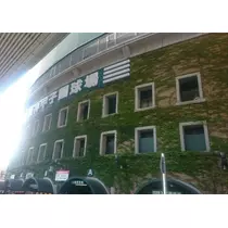 紫音