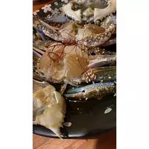 七星 舞冬