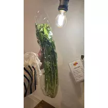 七星 ゆめ
