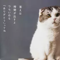 紫音