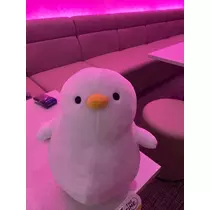 ゆみ