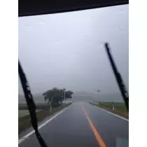 りん