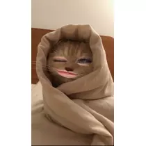 ひめち