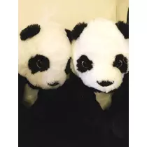 もも