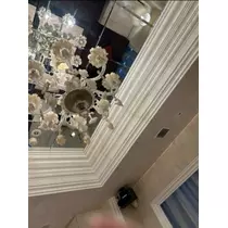 空条 しいな