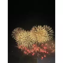 すみれ