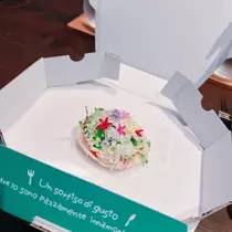 向日葵 ひまり