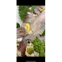 椿