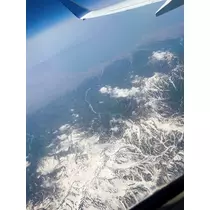 小川 真央