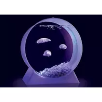千明