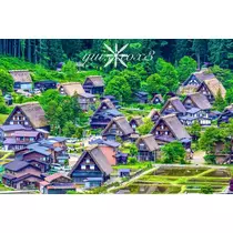 神崎 唯