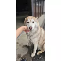 りか