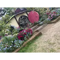 ミク