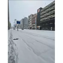 宝條 夏恋